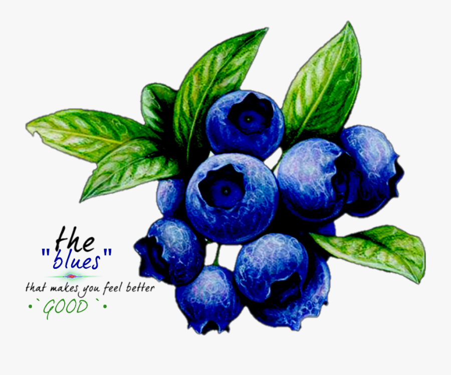 The Blues That Makes You Feel Good - Frutas De Lapices De Colores Blueberrys, Transparent Clipart