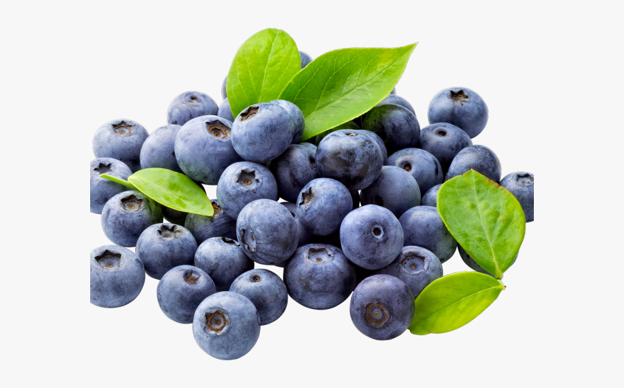 Blueberry Fruit In Telugu, Transparent Clipart