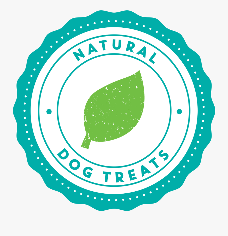 Circle, Transparent Clipart