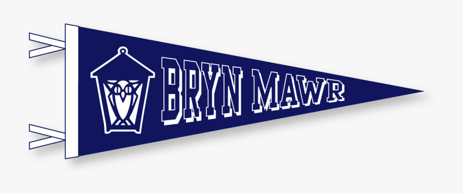 Pennant In Class Colors - Stephen F Austin University Pennant, Transparent Clipart