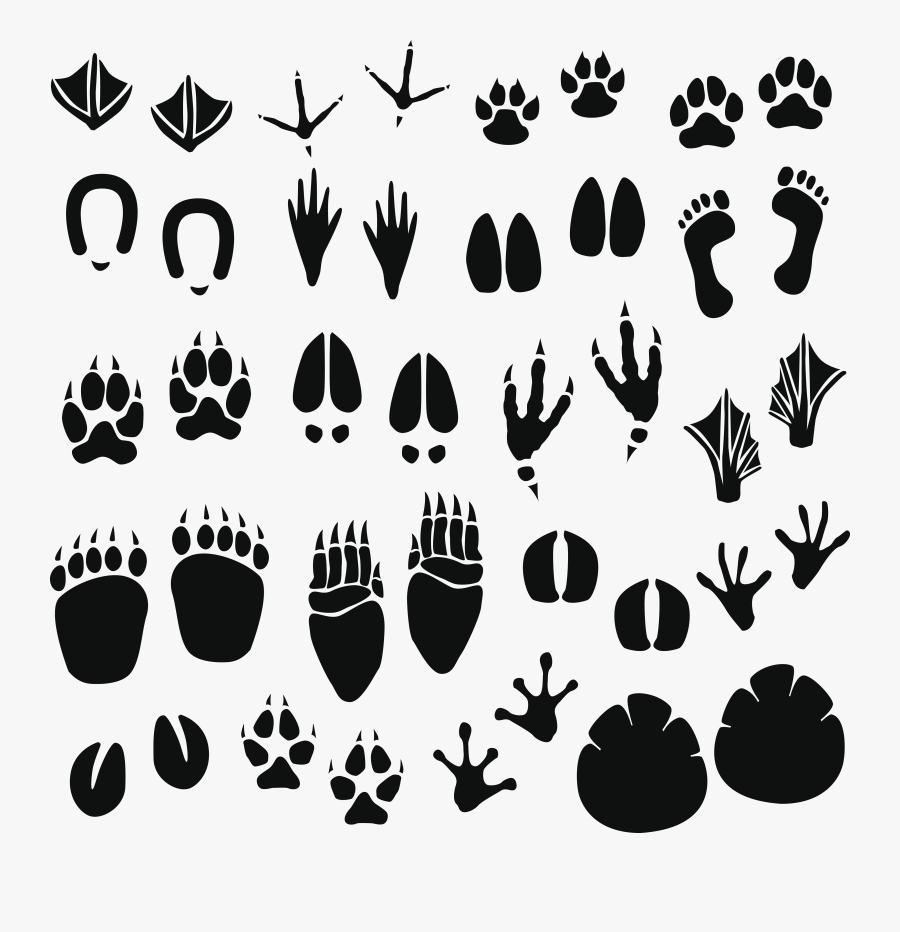 Transparent Bigfoot Footprint Clipart - Animal Footprint, Transparent Clipart