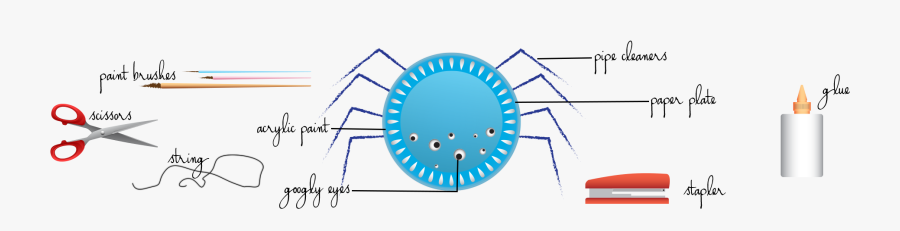 Circle, Transparent Clipart