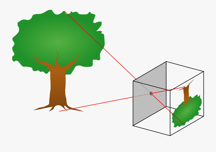 Does A Pinhole Camera Work, Transparent Clipart