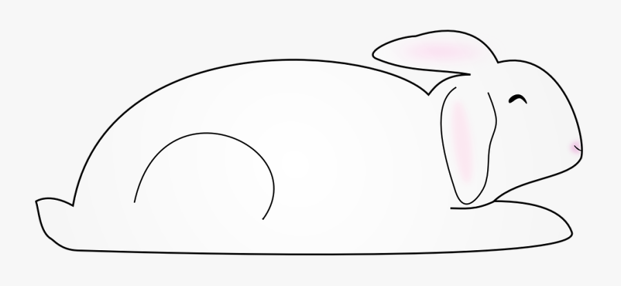 Animal, Bunny, Mammal, Rabbit - Rabbit, Transparent Clipart