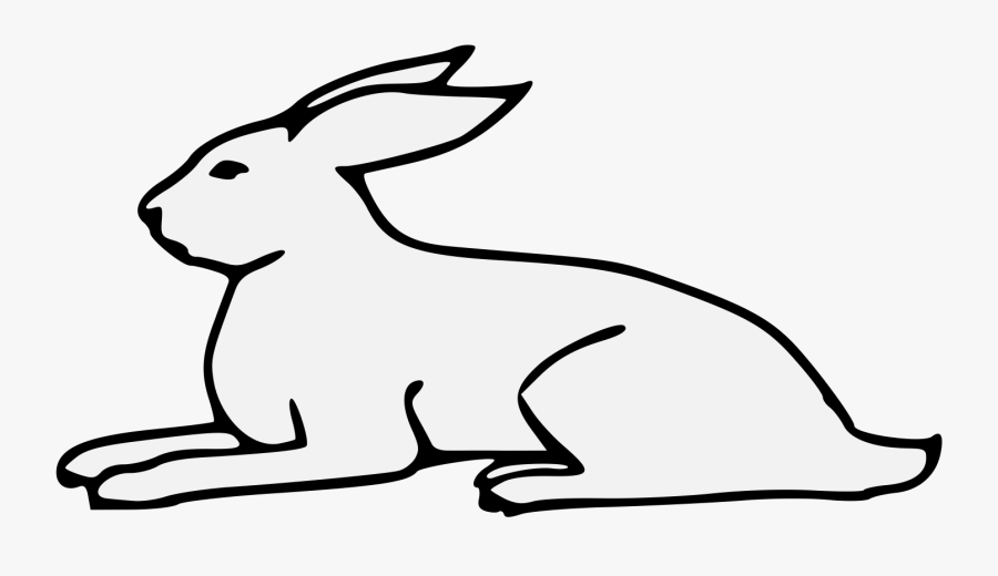 Domestic Rabbit, Transparent Clipart