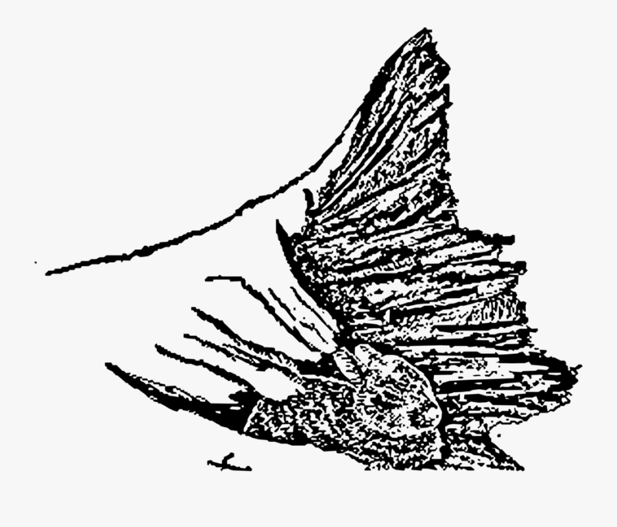 Art,monochrome Photography,monochrome - Rabbit On Log Drawing, Transparent Clipart