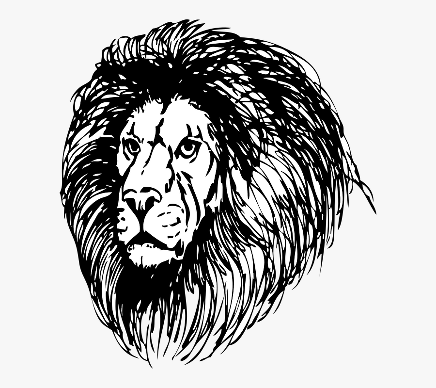 Lion, Strong, African, Head, Big, Cat, Power, Powerful - Lion Face Png, Transparent Clipart
