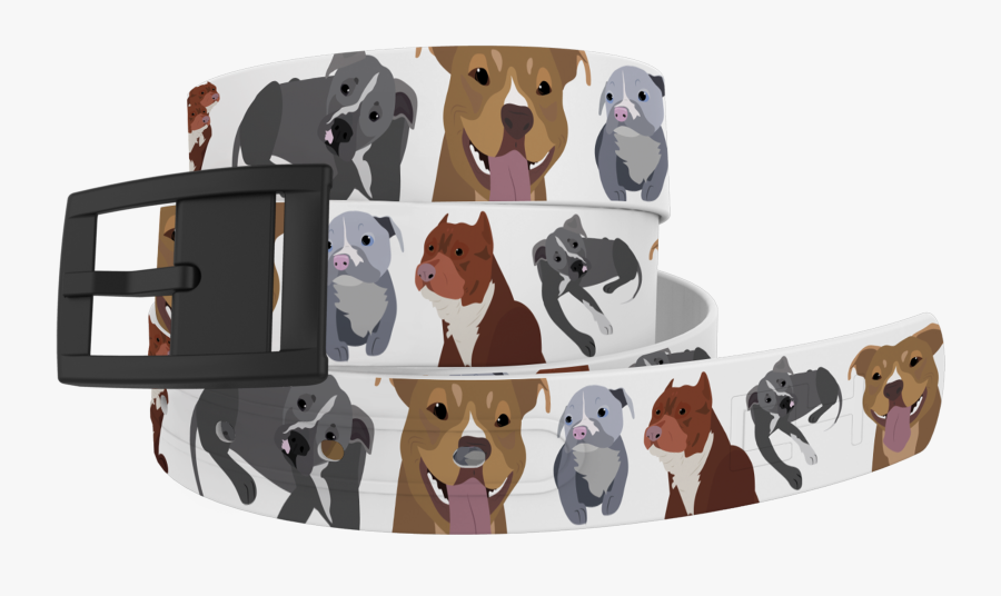 Baseball Clipart Pitbull - Cushion, Transparent Clipart