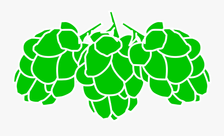 Hops, Cereals, Green, Plant, Fruit, Bunch, Cluster - Malt And Hops Vector, Transparent Clipart