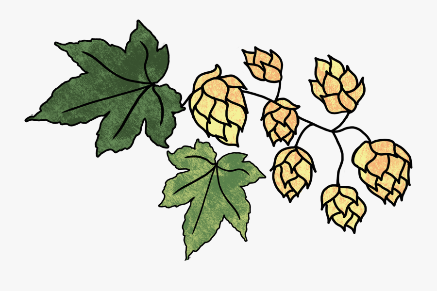 Hops And 2 Leaves, Transparent Clipart
