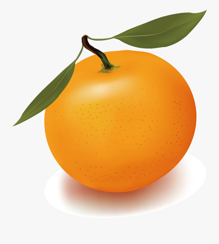 Orange Juice Free Content Clip Art - Clémentine Png, Transparent Clipart