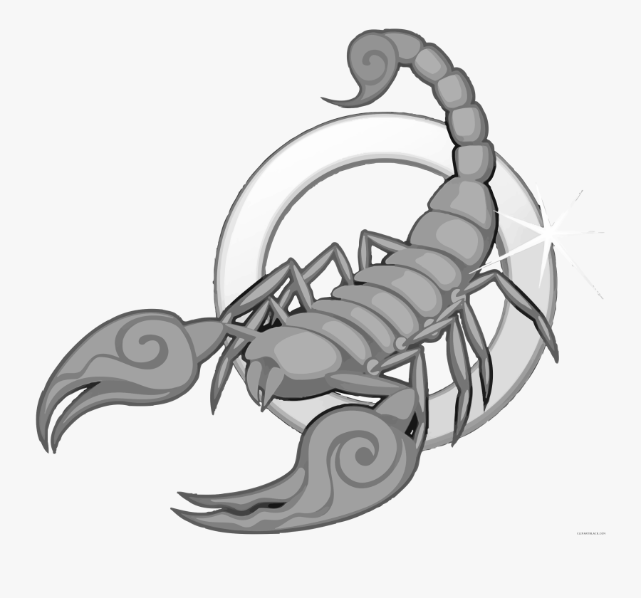 Scorpion Animal Free Black White Clipart Images Clipartblack - Clip Art Of Scorpio, Transparent Clipart