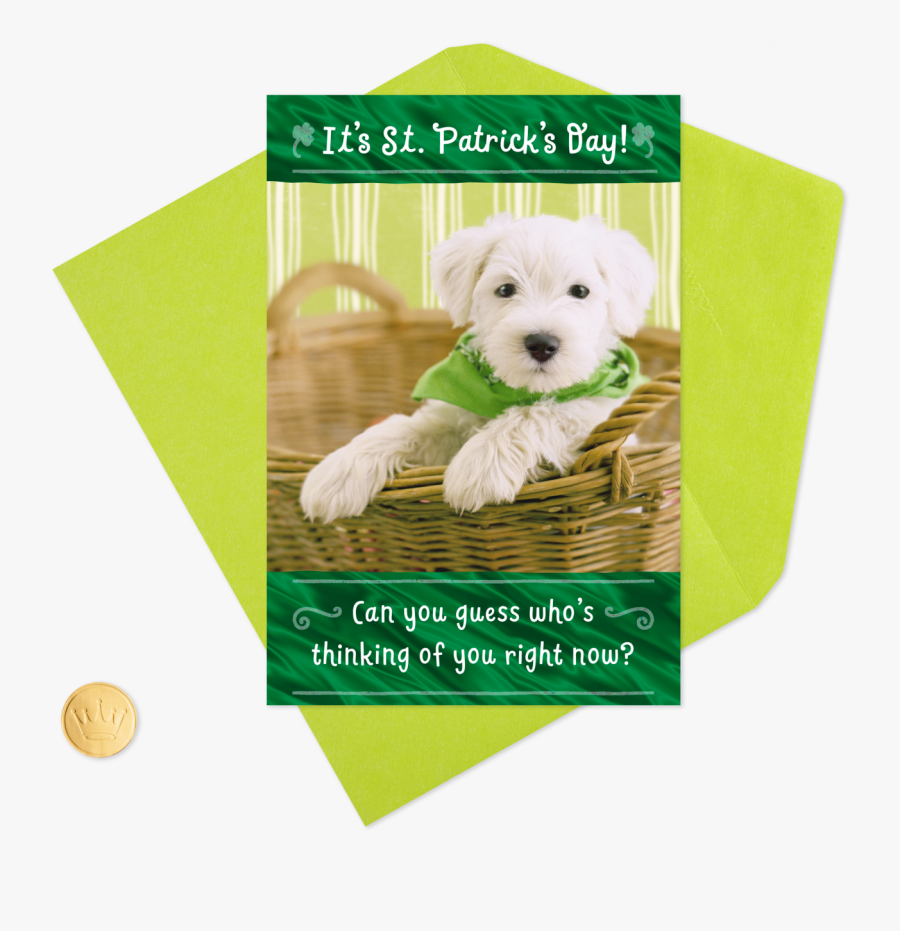 Thinking Of You Puppy Dog St - Happy St Patricks Day Puppy, Transparent Clipart