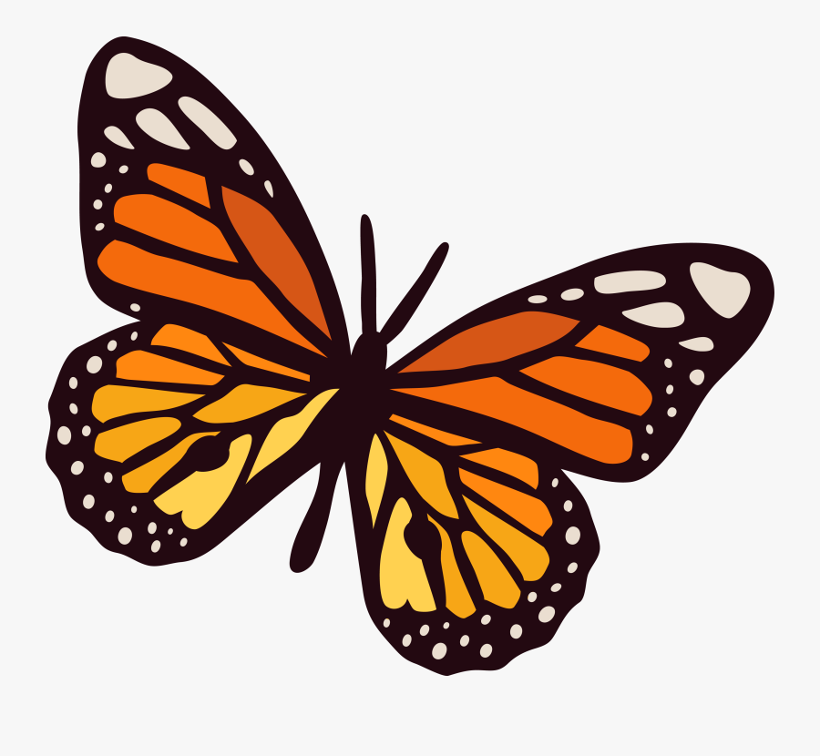 Explore These Ideas And More - Transparent Background Monarch Butterfly Clipart, Transparent Clipart