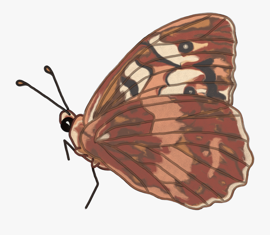Royalty Free Butterfly Clipart - Vanessa Cardui, Transparent Clipart