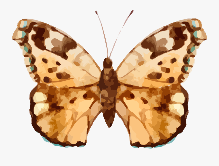 Free Butterflies Clip Art, Transparent Clipart