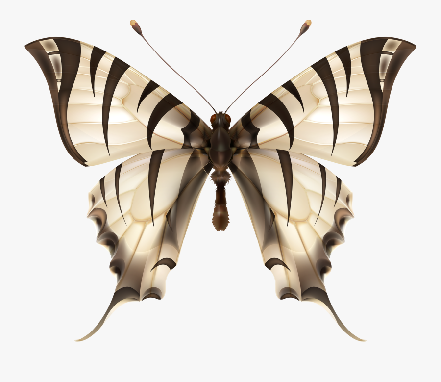 Free Butterflies Clip Art, Transparent Clipart
