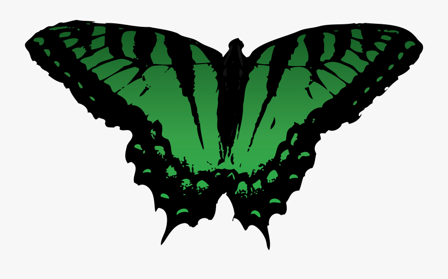 Butterfly Vector Free For Use By Romansiii On Clipart - Free Green Vector Butterfly, Transparent Clipart