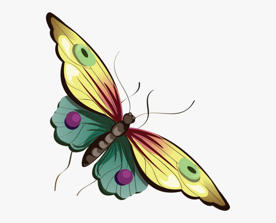 Awesome Free Butterfly Cartoon Images, Download Free - Butterfly Cartoon Clipart Free, Transparent Clipart