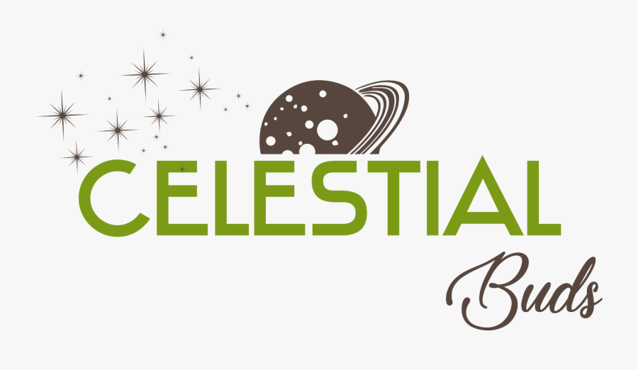 Graphic Design, Transparent Clipart