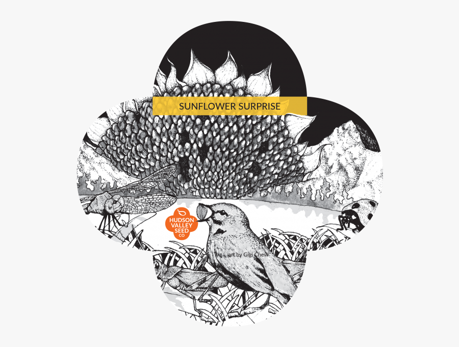 Illustration, Transparent Clipart