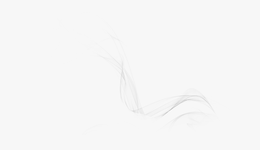 Sketch, Transparent Clipart