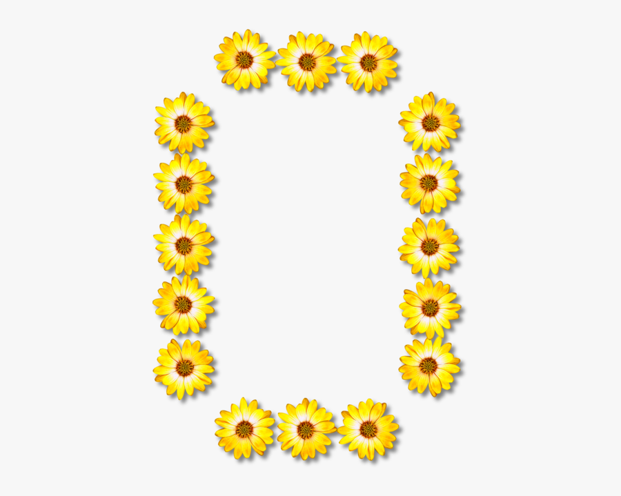 Sunflower Seed,plant,flower - Common Daisy Flower, Transparent Clipart