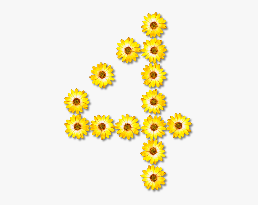 Sunflower Seed,plant,flower - Number Sunflower Png, Transparent Clipart