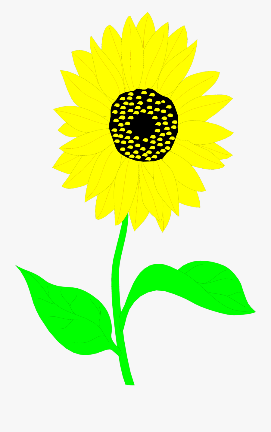 Common Sunflower Drawing Clip Art - Clip Art, Transparent Clipart