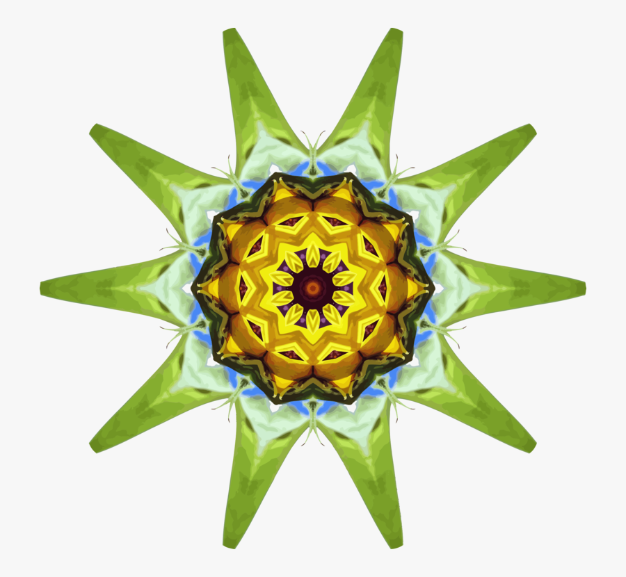 Plant,flower,sunflower, Transparent Clipart