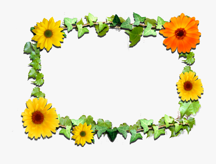 Stock Flower Frame Clipart - Borders And Frames Flowers, Transparent Clipart