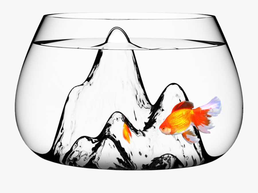 Modern Fish Bowl, Transparent Clipart