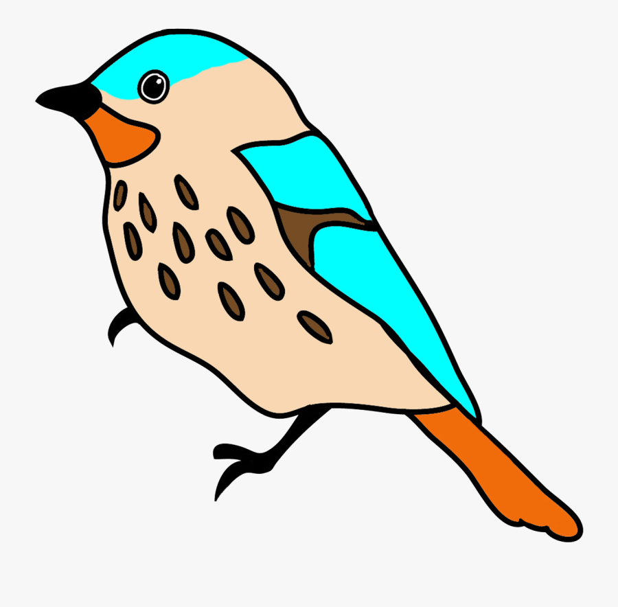 Drawings Of Birds With Color Clipart , Png Download - Drawings Of Birds Colored, Transparent Clipart