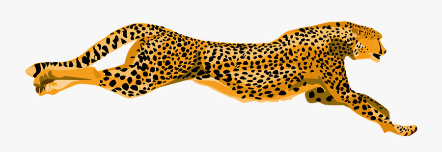 Cheetah Animal Pencil And - Cheetah Clipart Png, Transparent Clipart