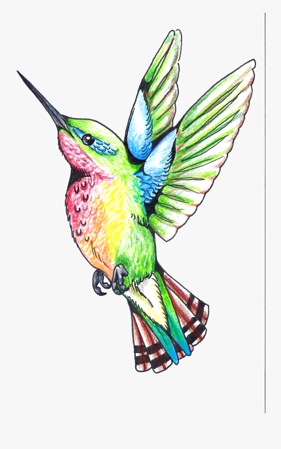 Hummingbird Tattoos Png Clipart - Hummingbird Designs For Tattoos, Transparent Clipart