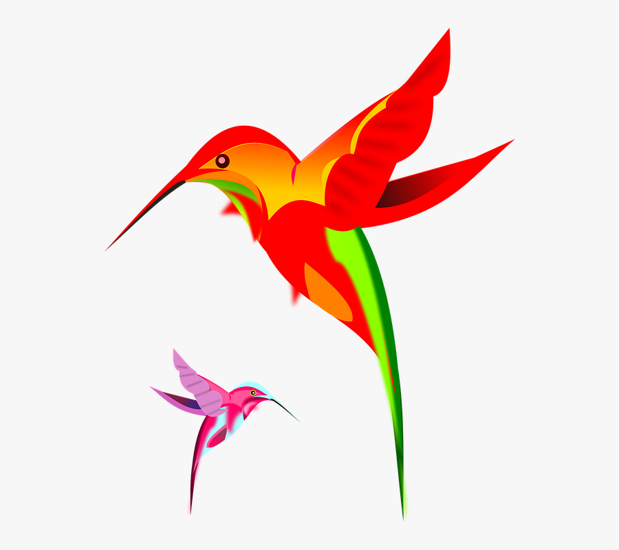 Hummingbird Art Png Clipart - Hummingbird, Transparent Clipart