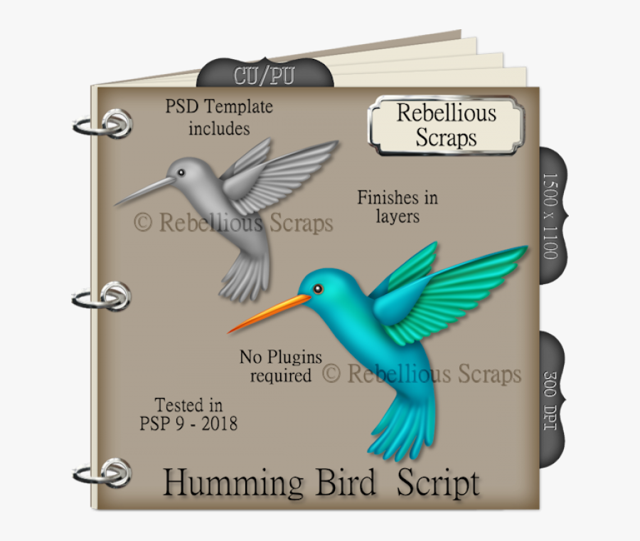 University Of Colorado Boulder, Transparent Clipart