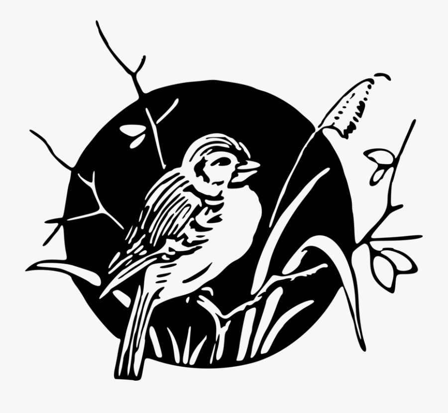 Transparent Humming Bird Clipart - Where The White Man Treads, Transparent Clipart