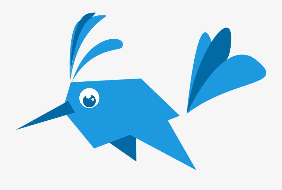 Hummingbird, Bird, Design, Logo, Transparent Clipart