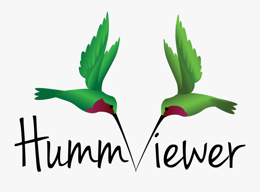 Hummviewer - Common Tern, Transparent Clipart
