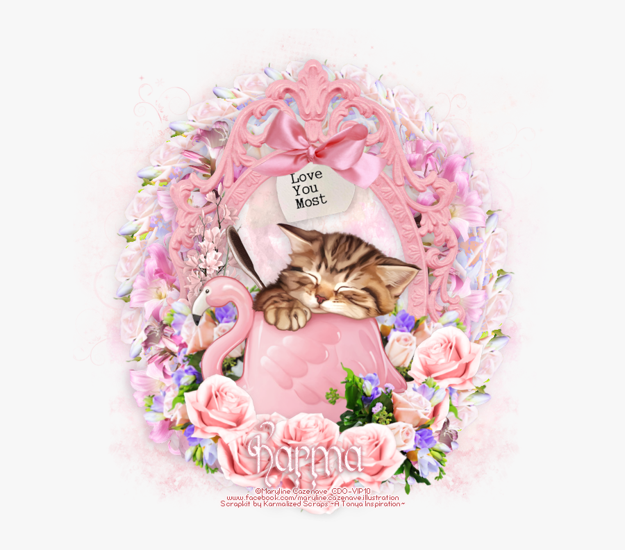 Kitten, Transparent Clipart