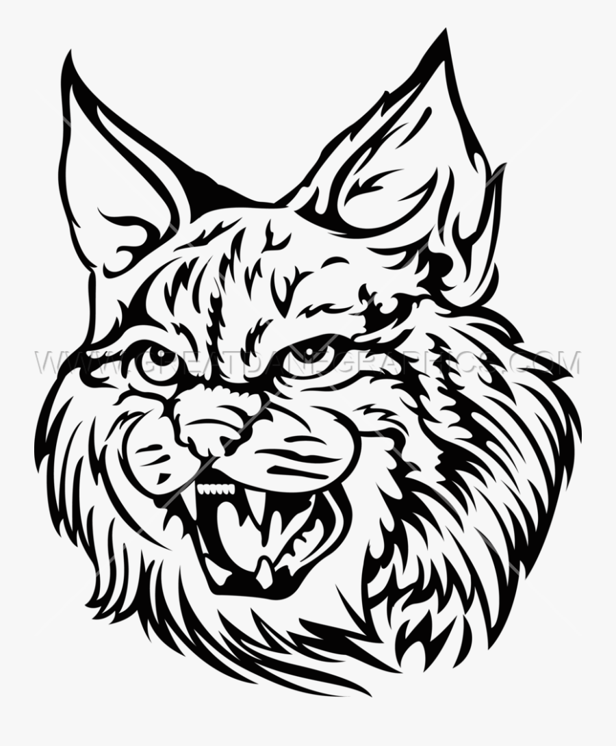 Wildcat Png Page - Wild Cat Drawing Transparent, Transparent Clipart