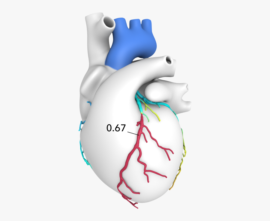 Heartflow, Transparent Clipart