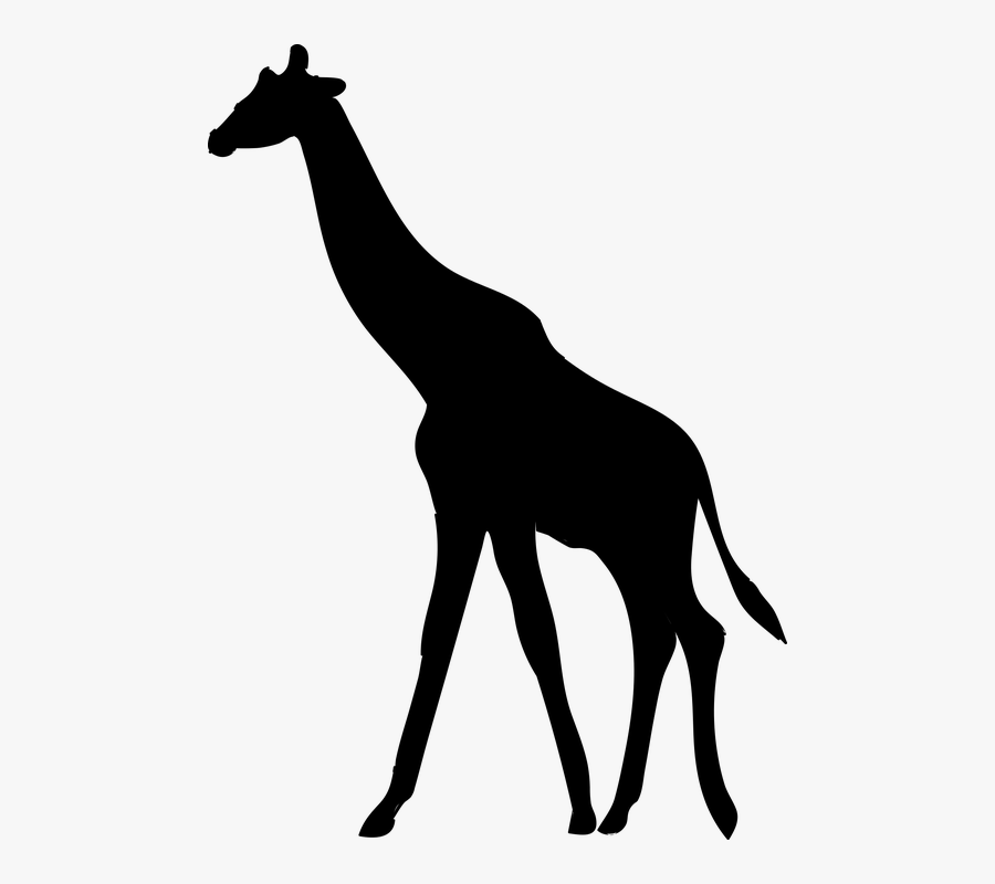 Art,silhouette,line Art,animal And White,chamois - Silhouette Giraffa, Transparent Clipart