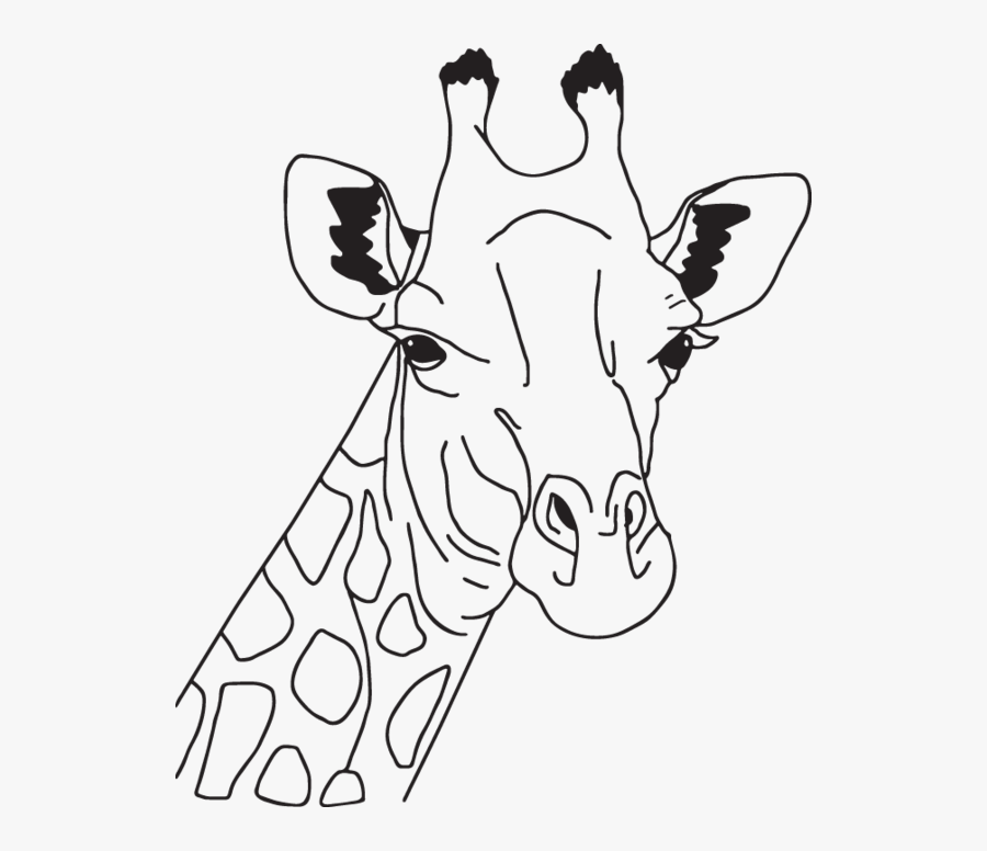 Giraffe Coloring Page Head, Transparent Clipart