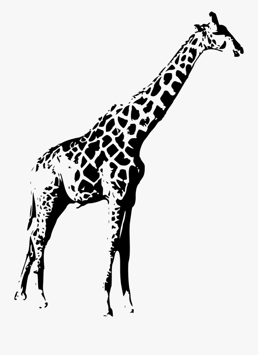 Giraffe Wild Animal Free Picture - Silhouette Giraffe Png, Transparent Clipart