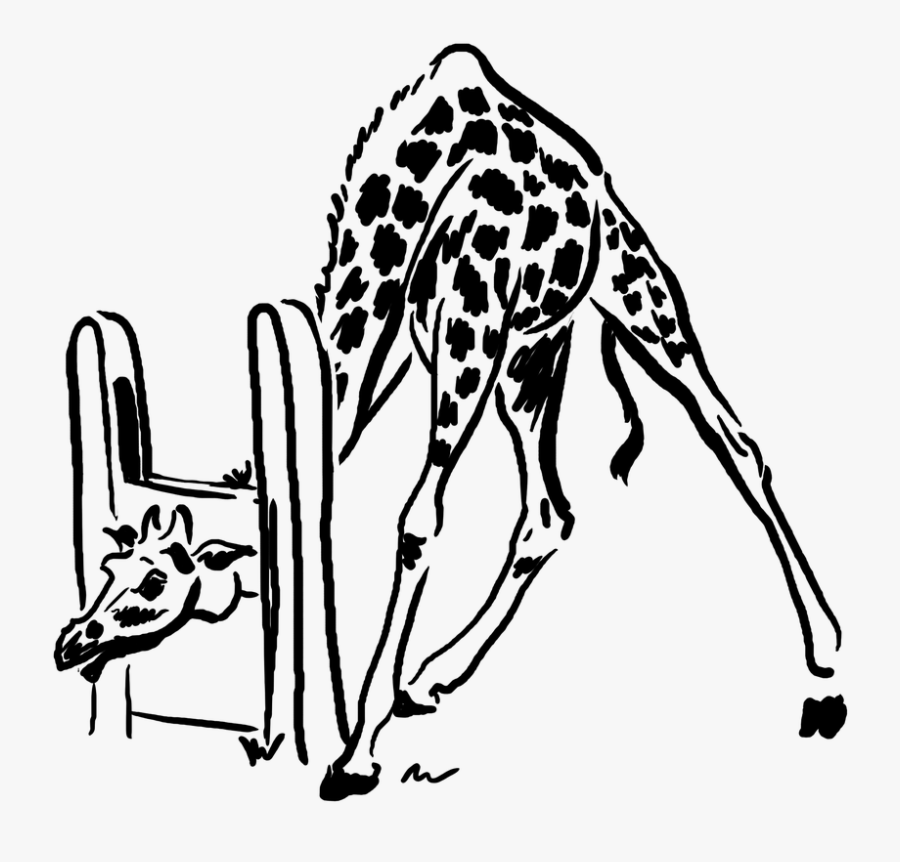 Drawing Stencil Giraffe Free Picture - ภาพ ลาย ฉลุ สัตว์, Transparent Clipart