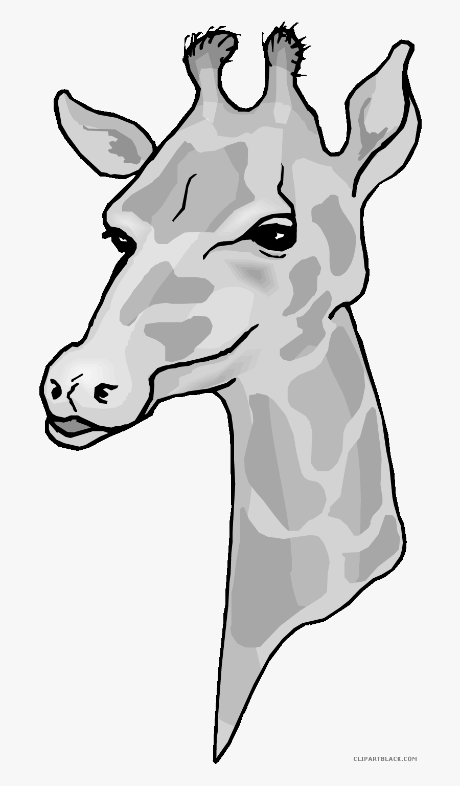 Transparent Head Clipart Black And White - Cartoon Giraffe Giraffe Head Clipart, Transparent Clipart