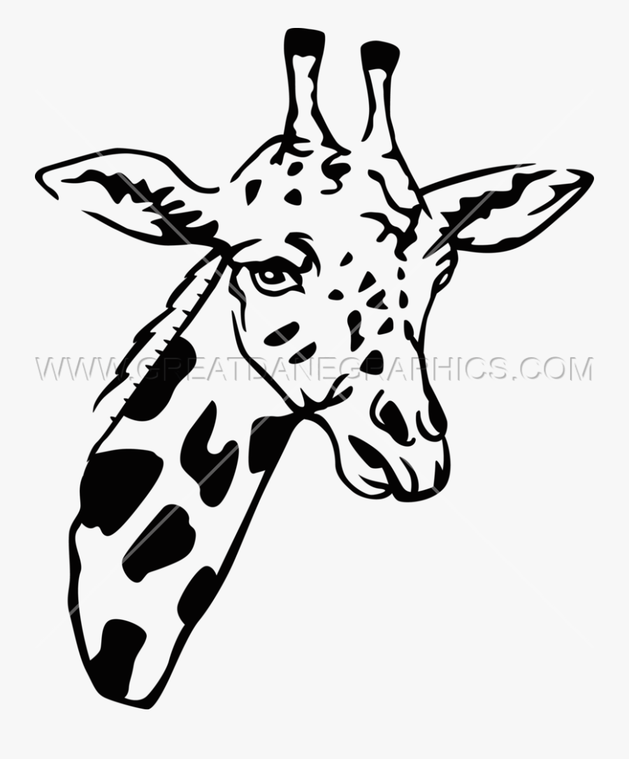 Giraffe Line Drawing At Getdrawings - Giraffe Head White And Black .png, Transparent Clipart