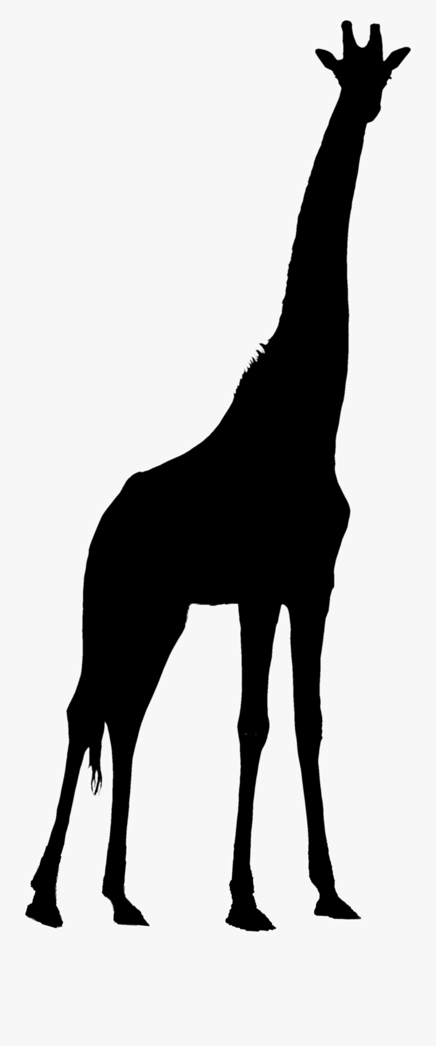 🦒

#giraffe #animal #shilouette #silhouette - Giraffe Silhouette, Transparent Clipart